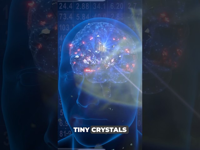 You Have Crystals in Your Brain: Pineal Gland Secrets #PinealGland #CosmicConnection