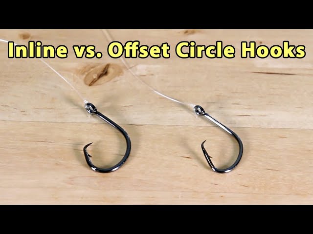 2 Ways To STOP Gut Hooking Fish With Circle Hooks