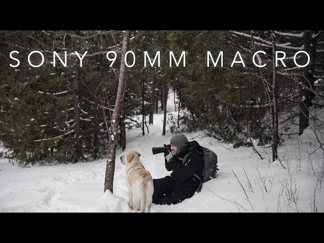 SNOWY HIKE with the A7III + Sony 90mm F2.8 MACRO