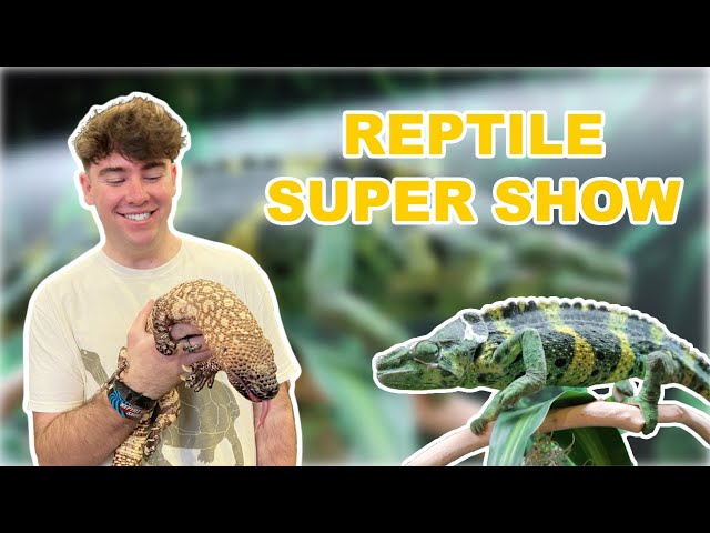 California's *BIGGEST* Reptile Show! (Pomona Reptile Super Show - January 2022)