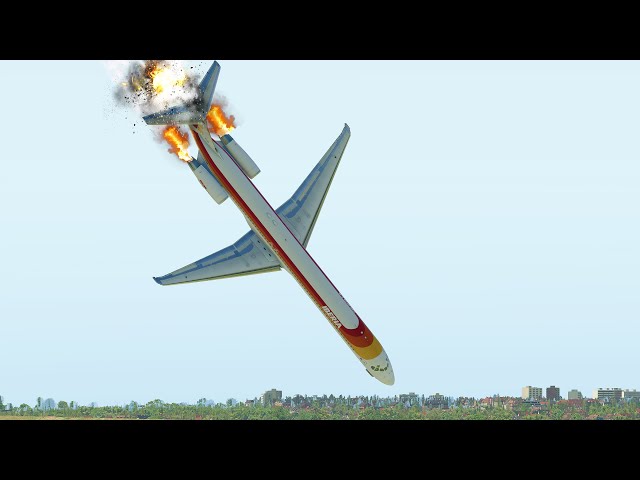 MD-82 Crashed Immediately After Take Off Because Of Bird Strike [XP11]