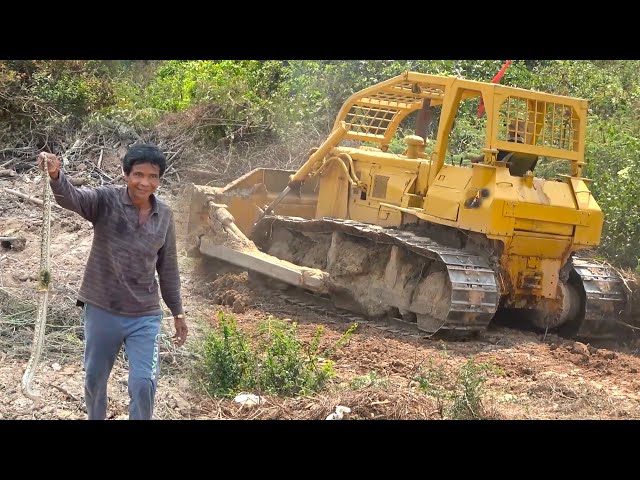 Unintentional Serpent Operator Big Old Bulldozer Pulling Crush​ Forestry