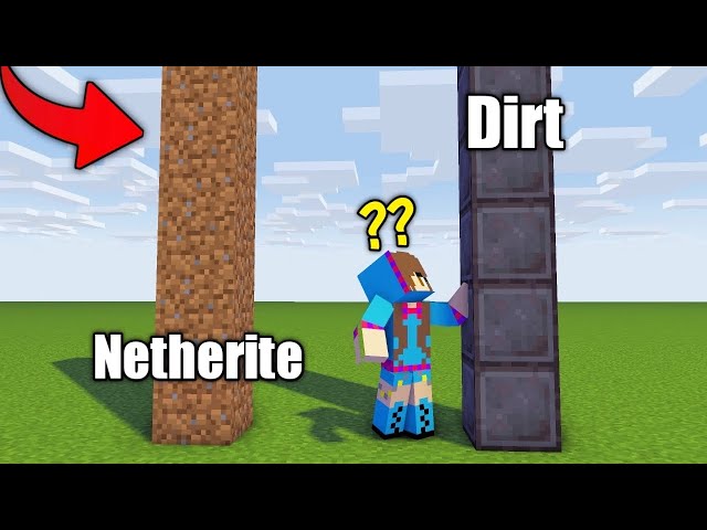 I Fooled This Girl by SWAPPING Netherite And Dirt Textures in Minecraft .....