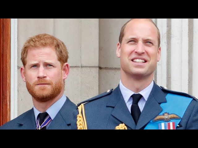 A Breakdown Of How Prince William And Prince Harry's Military Dress Differs