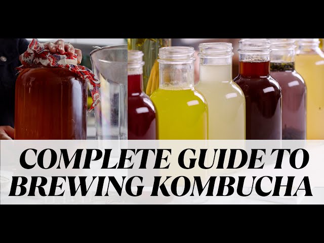 Ultimate *Updated* Guide to Homemade Kombucha (1st and 2nd Fermentation)