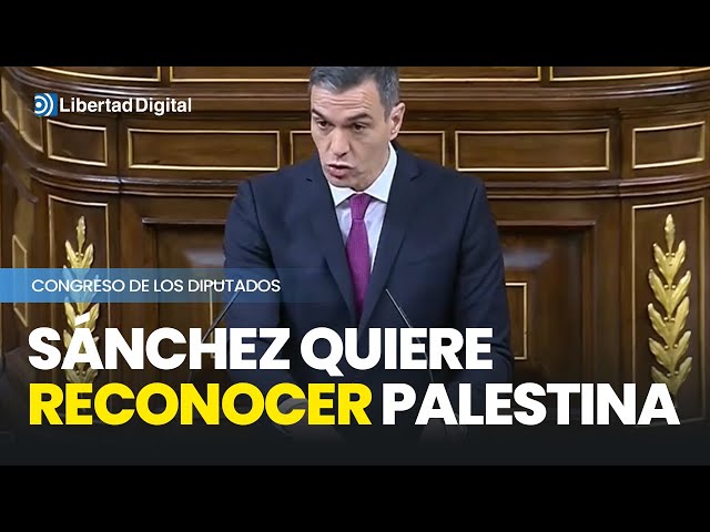 Sánchez quiere reconocer Palestina
