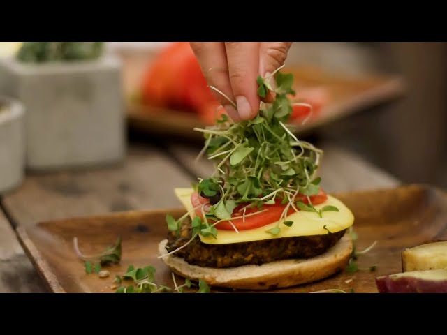 Kelp Burgers | The Henry Ford’s Innovation Nation