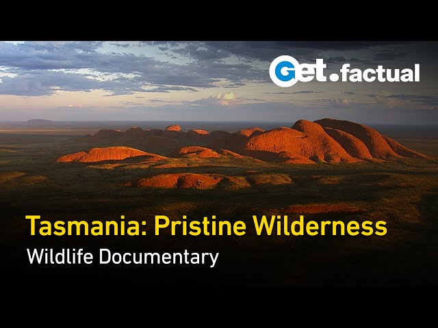 Tasmania: Remnants of Ancient Gondwana | Wildlife Documentary