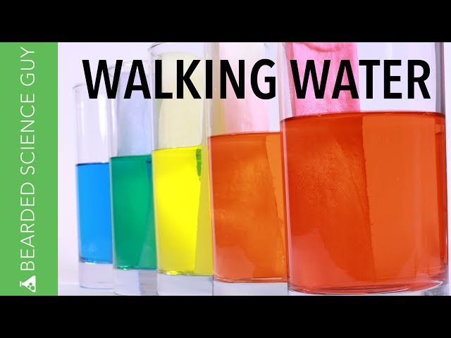 Walking Water Experiment (Chemistry)