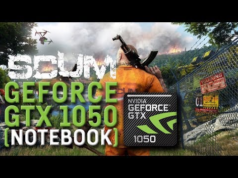 Nvidia Geforce GTX 1050 (Laptop)