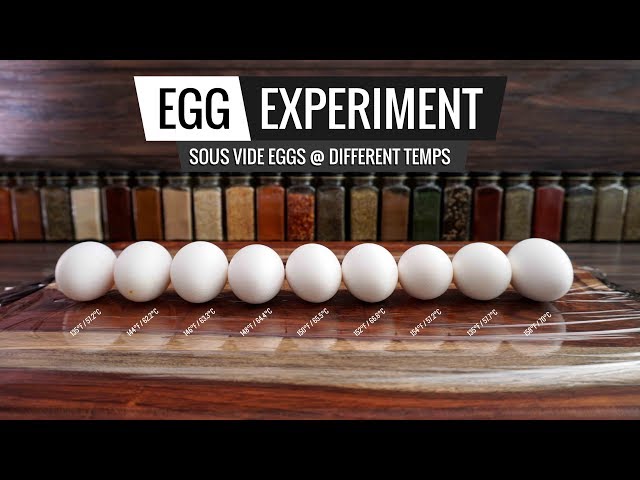 Sous Vide EGG EXPERIMENT - Opening Several Eggs at Different Temps