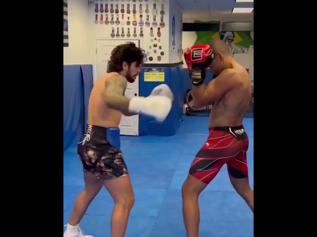 Can Dillon Danis Hurt Logan Paul With These Punches?