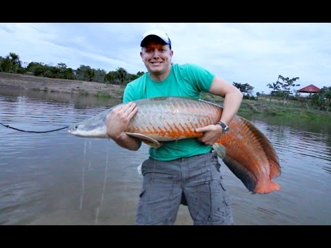 Amazon River Monster Project - Smarter Every Day 147