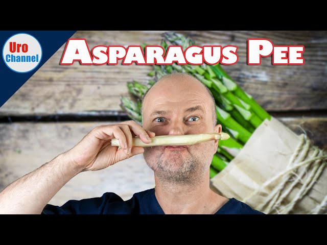 Asparagus - Smelly Urine - Health Benefits | UroChannel