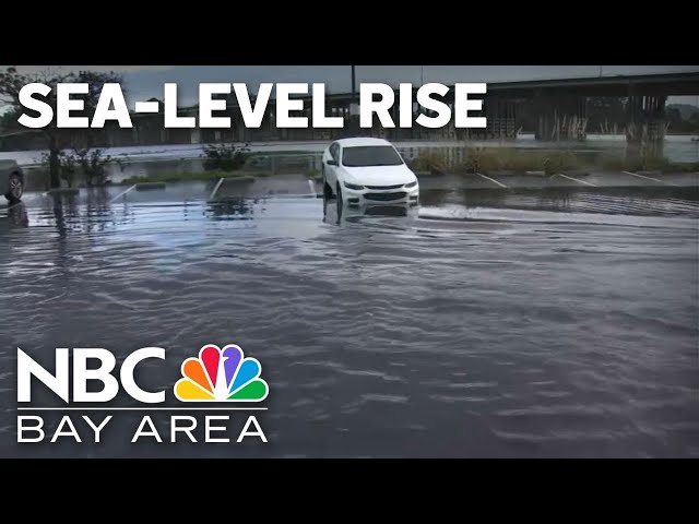 Watch: Sea-level rise and how it's linked to climate change