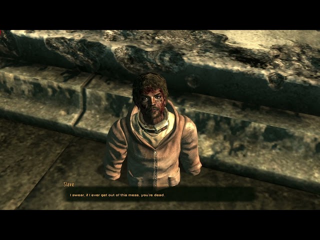 You're a Slave, Deal With It - Fallout 3