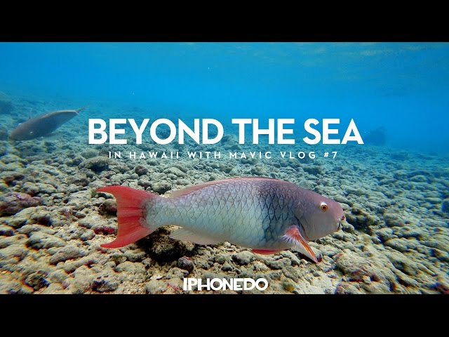 Beyond The Sea — Hawaii VLOG #7 [4K]