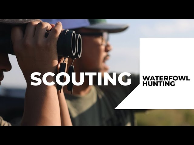 How to Scout for Waterfowl