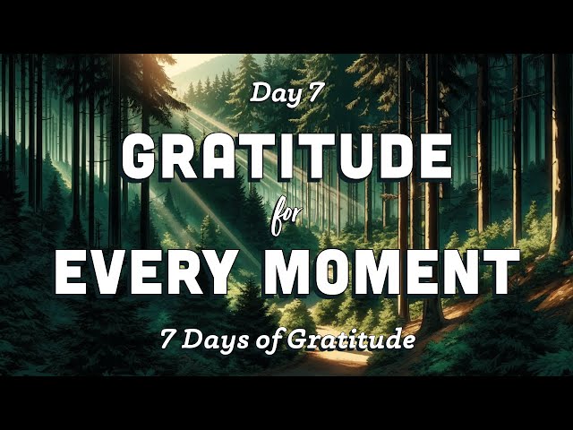 Gratitude for a Better Life · Meditation