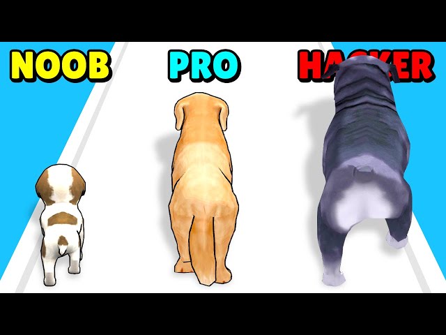 NOOB vs PRO vs HACKER in Dog Evolution Run!