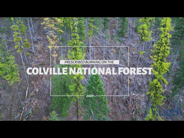 Vaagen Bros. Lumber - Prescribed Burning on the Colville National Forest