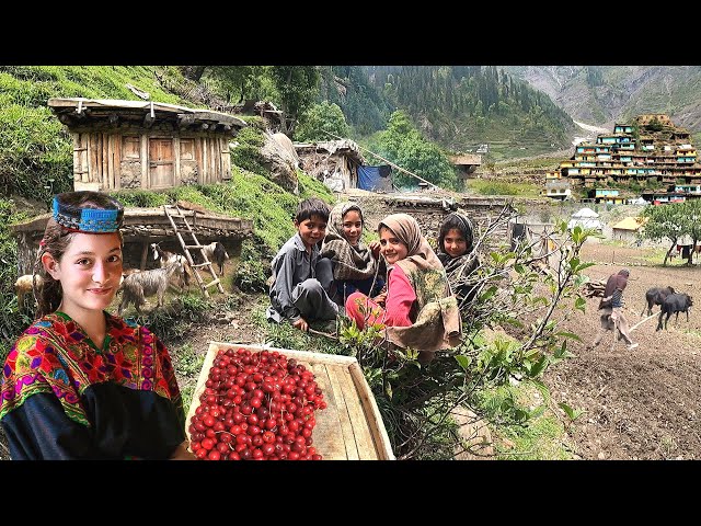 Unseen Pakistani Village Life at Top of Coldest Mountain | Ancient Culture | Stunning Pakistan