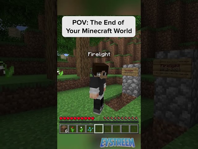 POV: Saying Goodbye to your Minecraft World
