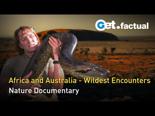 Andreas Kieling - Wildest Encounters in Africa and Australia | Full Documentary