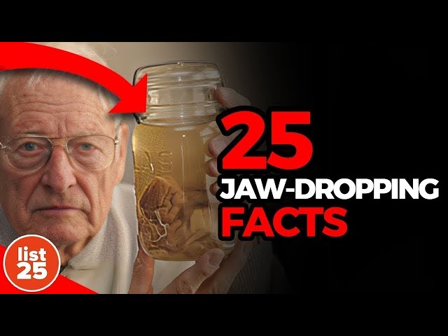 25 Jaw Dropping Facts That Will Leave You Astonished