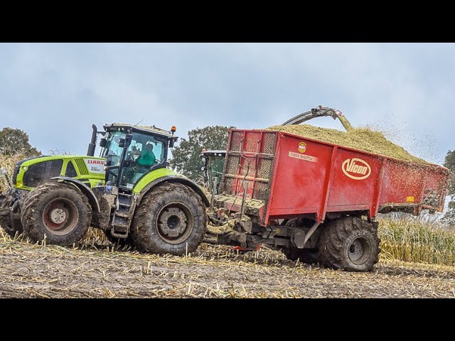 Chopping Maize with machines from CLAAS | In the mud | Vicon T-Rex Shuttle