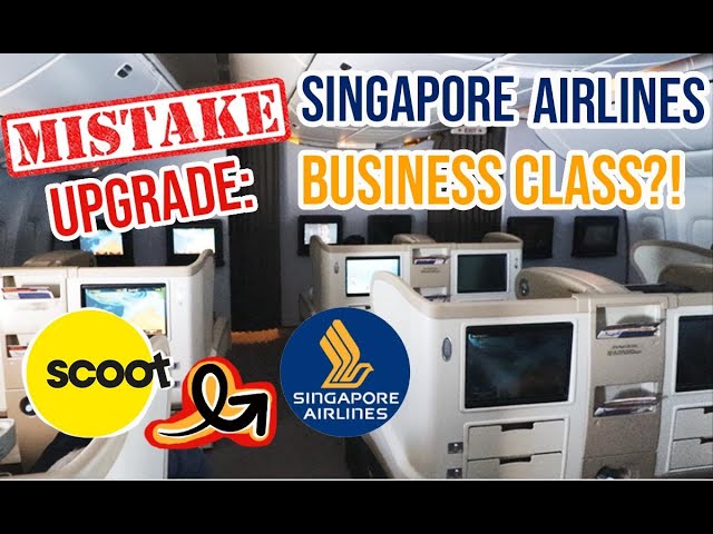 MISTAKE UPGRADE: Scoot Airlines ECONOMY to Singapore Airlines B777-200 BUSINESS CLASS!! | SYD to SIN