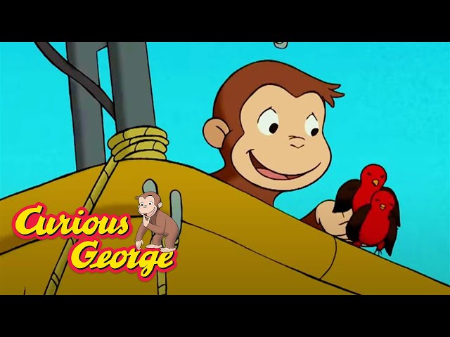 George goes up, up and away! 🐵 Curious George 🐵 Kids Cartoon 🐵 Kids Movies 🐵 Videos for Kids