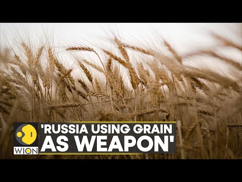 Russia Ukraine War: Kyiv hosts 'Grain Summit', Lithuania says 'Moscow using grain as weapon' | WION