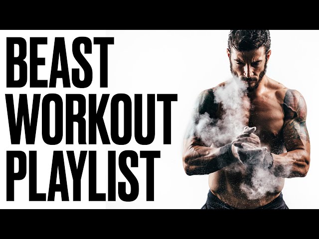 Beast Workout playlist | David Guetta Biggest Hits