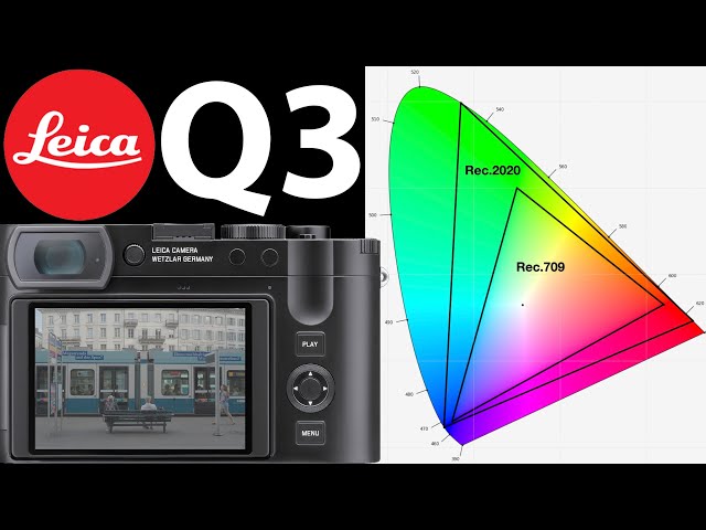 NEW Leica Q3 | 15 Tips & Tricks for Videography | LUTs, Gamut, L-Log EASILY EXPLAINED