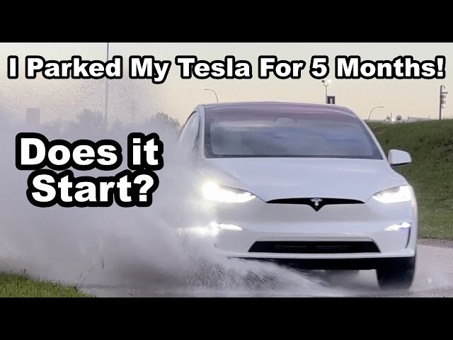 I Parked My Tesla For 5 Months! What Happens?