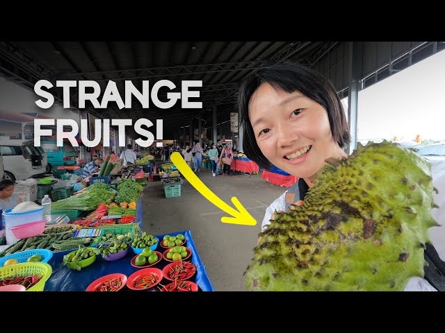 Trying EXOTIC food/fruits in Kuching, Sarawak Borneo! Why does Malaysia taste so good? EP34