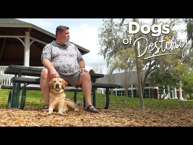 "See to Believe" | Dogs of Destiny
