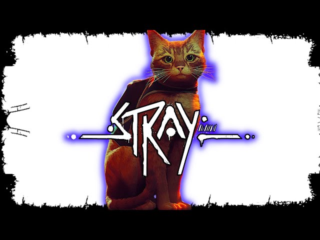 I'M JUST A CAT IN A POST APOCALYPTIC WORLD | Stray Live Playthrough