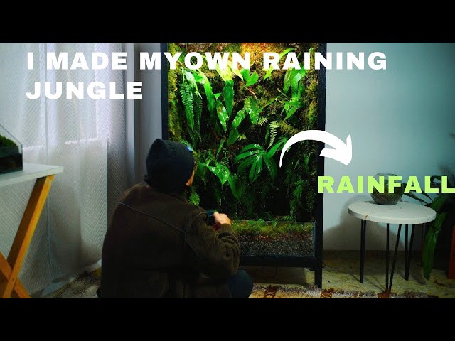 i turned my old cabinet into a raining forest | rainfall vivarium | rainfall terrarium