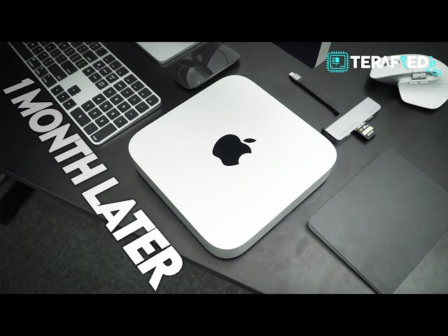 Mac Mini M2 Pro Review - 1 Month Later & We Love It
