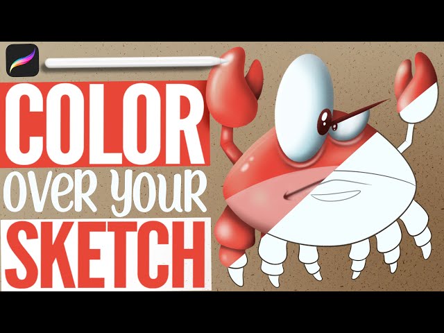 How To Color Sketches In Procreate w/o Using Outlines!