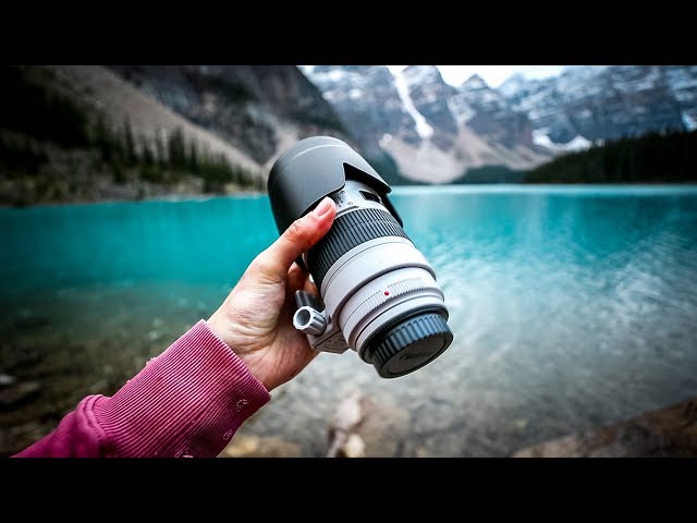 Why EVERY PHOTOGRAPHER NEEDS a TELEPHOTO