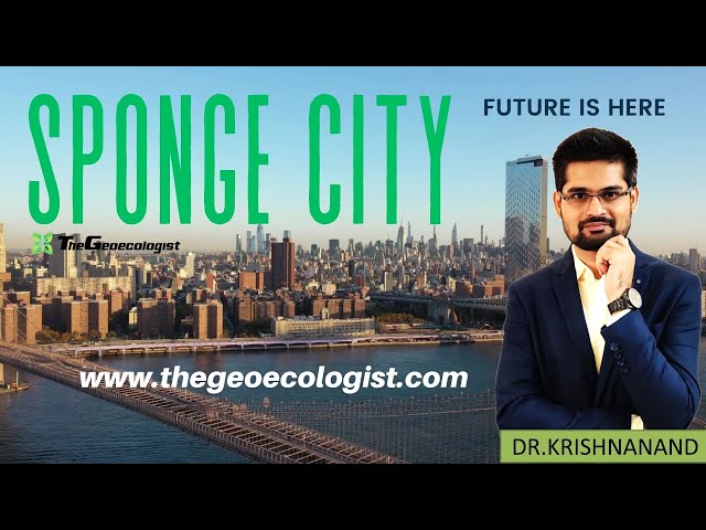 Sponge Cities- Cities for Future-Sustainable City #shorts
