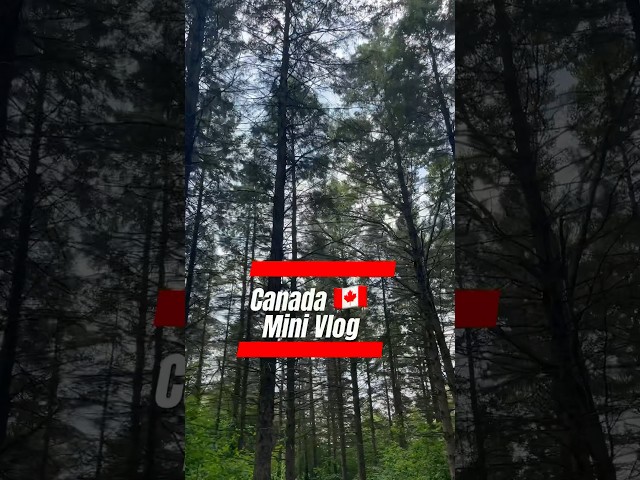 Canada Life Mini Vlog 😅 #livingincanada #canadastudentlife