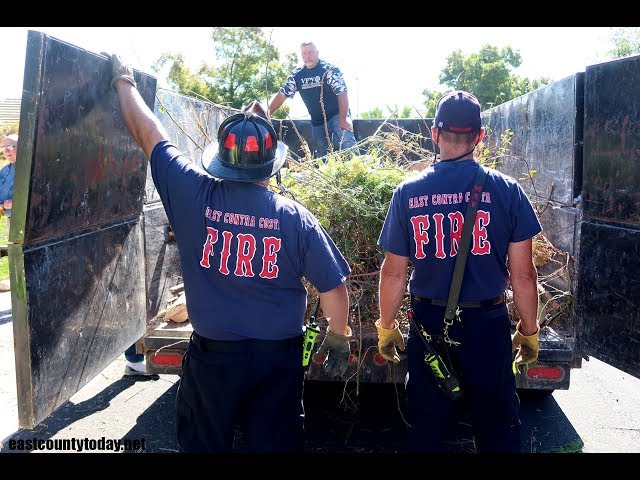 Brentwood Community and Firefighters Remove Trees for Veteran in Need