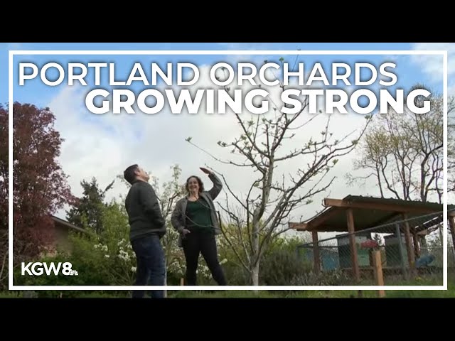 Portland Fruit Tree Project injects a touch of sweetness to Earth Day