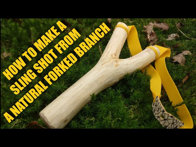 How to carve / make a slingshot from a natural forked branch of yew