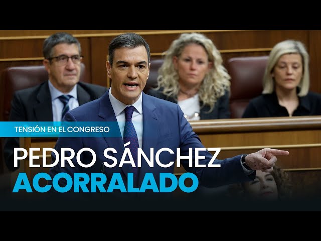 ¿Qué le pasa a Sánchez? El presidente evidencia su extrema tensión en el Congreso
