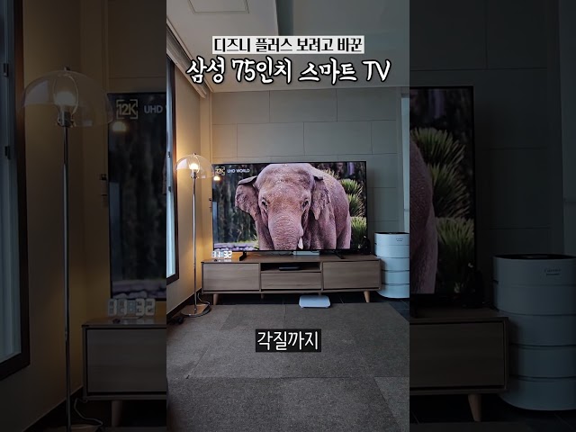 삼성 75인치 스마트 티비 후기